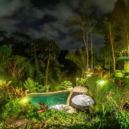 The Jungle Villa