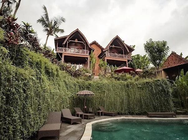 Villa The Jungle