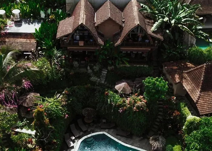 The Jungle