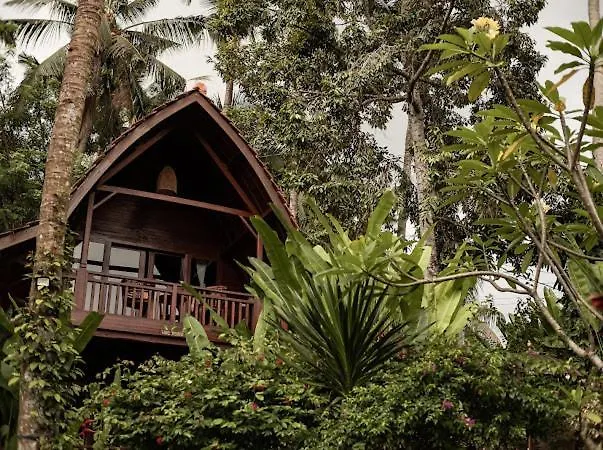 The Jungle Villa *