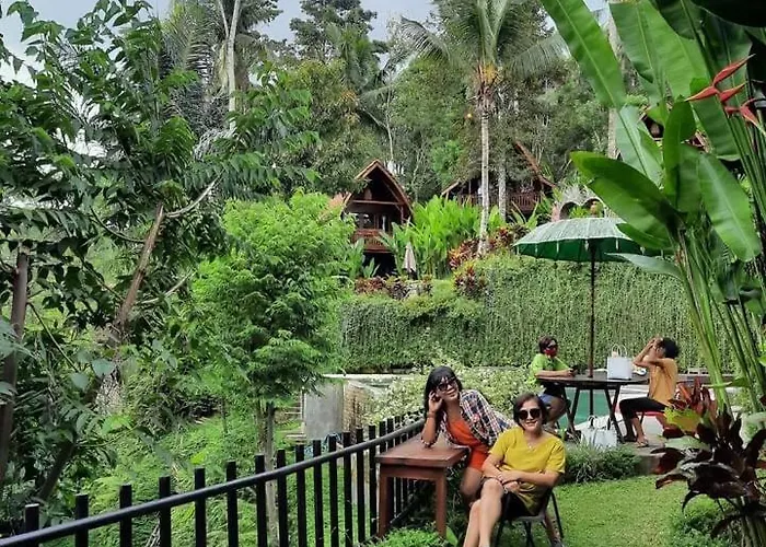 The Jungle *