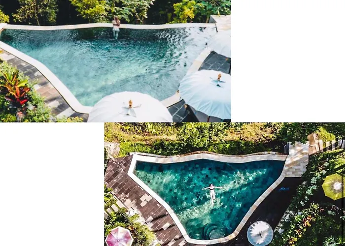 The Jungle Villa Ubud