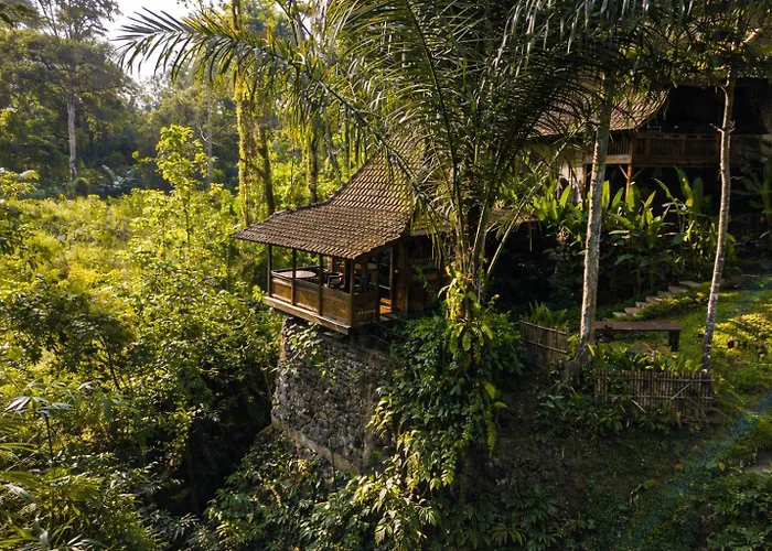 The Jungle Villa
