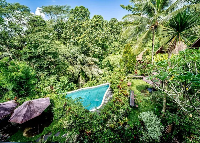 The Jungle Villa Ubud