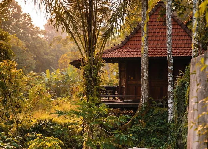 The Jungle *