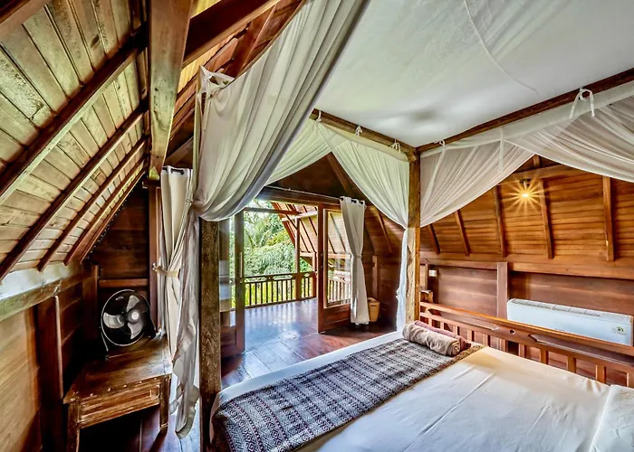 The Jungle Ubud