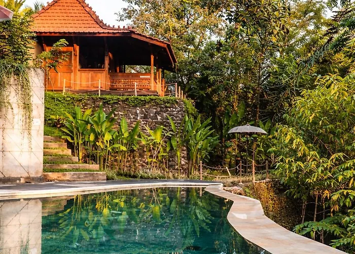 The Jungle Villa *