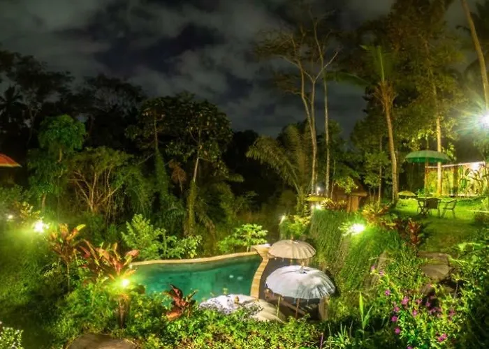 The Jungle Ubud