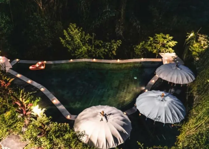 The Jungle Villa *