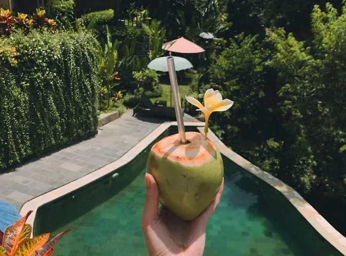 Villa The Jungle