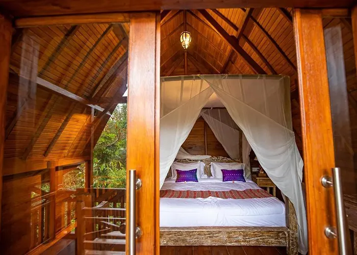 The Jungle Villa *